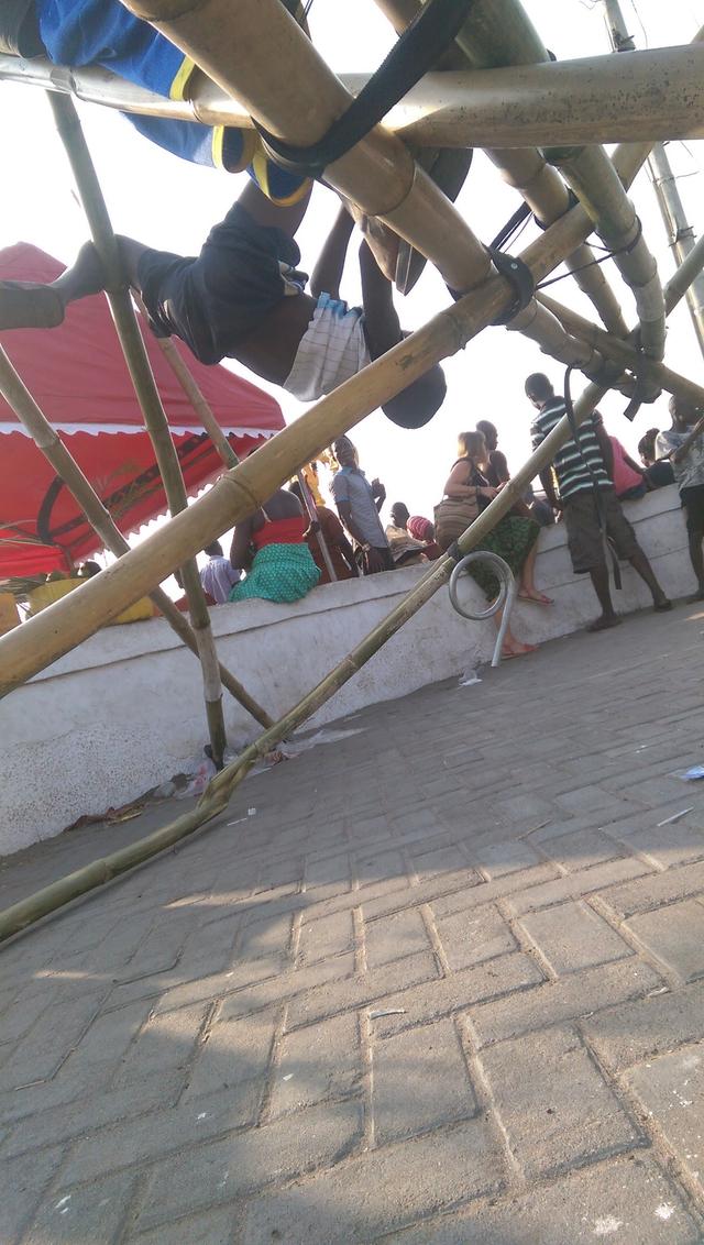 49 Bamboo transponder