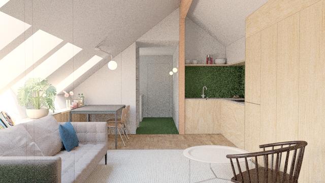 13 Attic Unit Living