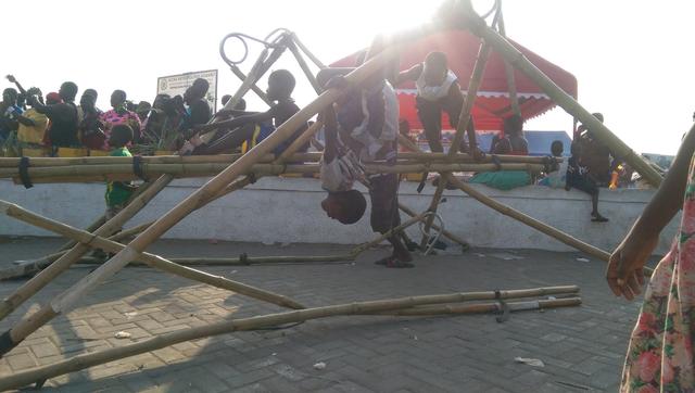 46 Bamboo transponder